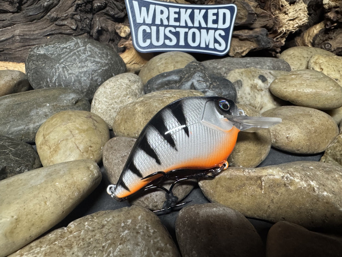 Square Bill 1.5 Scrank White Perch Orange Belly