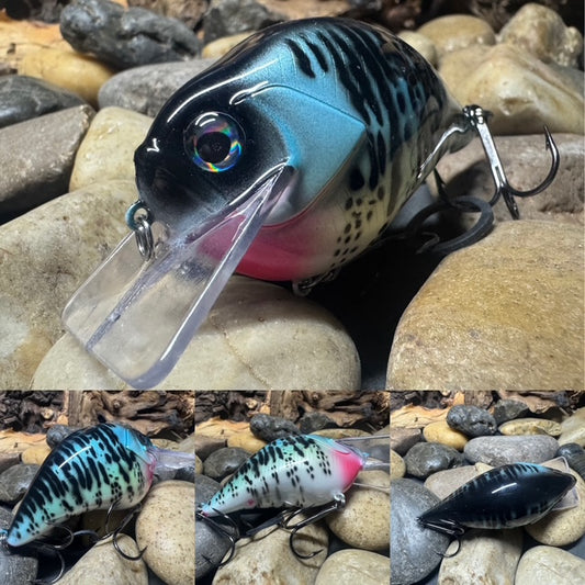 Square Bill 2.0 Scrank Blue Crappie (Light Silver Glitter)