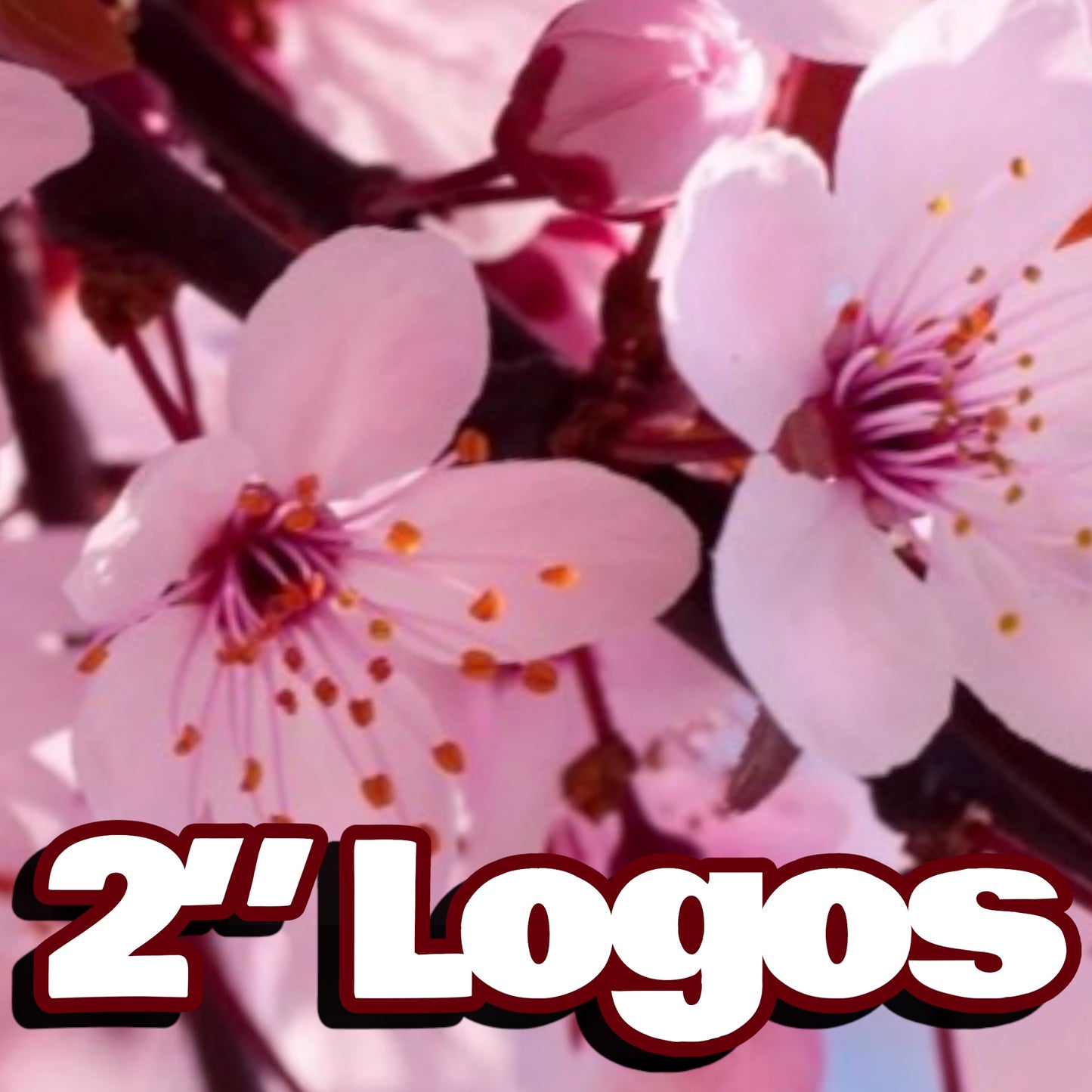 Logo/Care Instructions