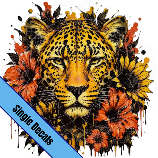 Cheetah