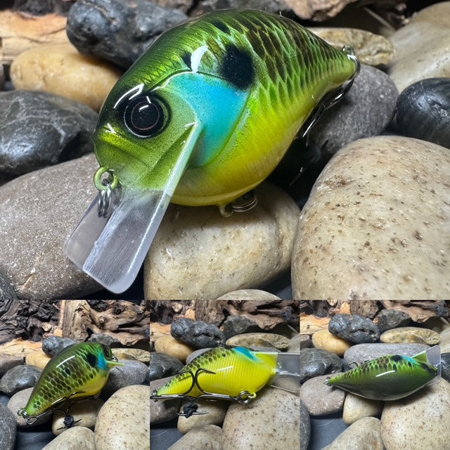 Square Bill 1.5 Scrank Blewie (Limited Qty)
