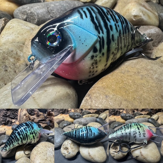 Square Bill 2.0 Scrank Blue Crappie (Heavy Silver Glitter)