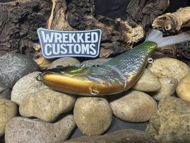 7" Fan Tail Glide Bait Sexy Shad