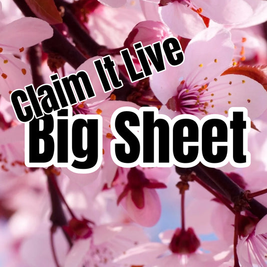 CIL Big Sheet