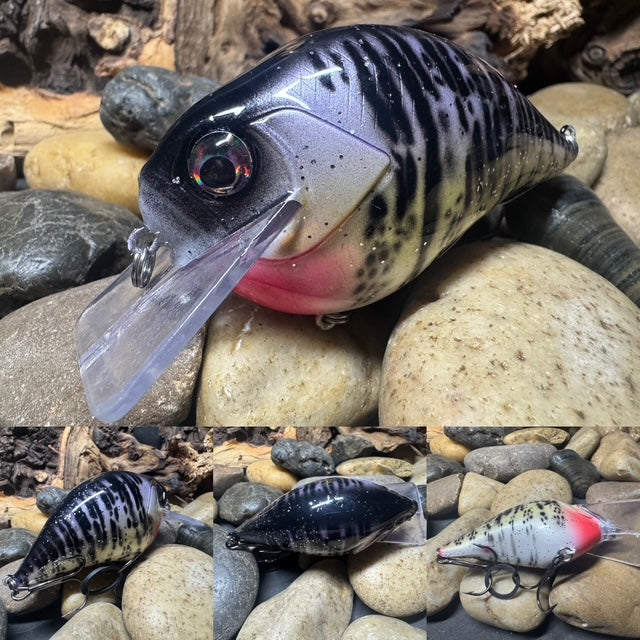 Square Bill 2.0 Scrank Purple Crappie (Heavy Silver Glitter)