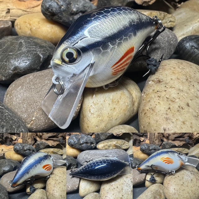 Square Bill 1.5 Scrank Creek Chub