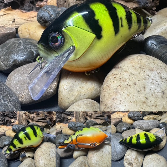 Square Bill 2.0 Scrank Candy Perch