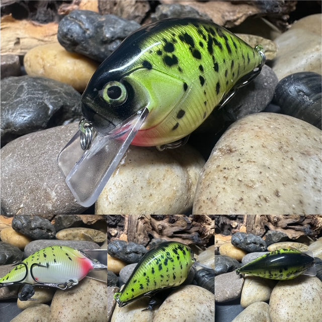 Square Bill 1.5 Green Crappie 2.0
