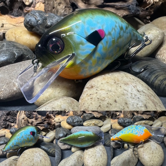 Square Bill 2.0 Scrank Pumpkinseed