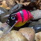 Square Bill Scrank Pink Perch