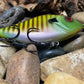 Muskie Glide Bait Speckled Bluegill