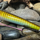 Imperfect Big Fish Torpedo Jerkbait