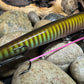 Imperfect Big Fish Torpedo Jerkbait