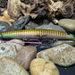 Imperfect Big Fish Torpedo Jerkbait