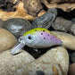 Mighty Wart Pearl Silver Base Rainbow Trout Crankbait