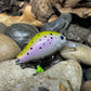 Mighty Wart Pearl Silver Base Rainbow Trout Crankbait