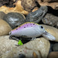 Mighty Wart Pearl Silver Base Rainbow Trout Crankbait