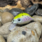 Mighty Wart Pearl White Base Rainbow Trout Crankbait