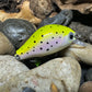 Mighty Wart Pearl White Base Rainbow Trout Crankbait