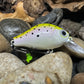 Mighty Wart Pearl White Base Rainbow Trout Crankbait