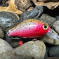 Mighty Wart Pearl White Base Cutthroat Trout Crankbait