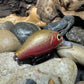 Mighty Wart Pearl Silver Cutthroat Trout Crankbait