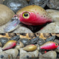 Mighty Wart Pearl Silver Base Cutthroat Trout Crankbait