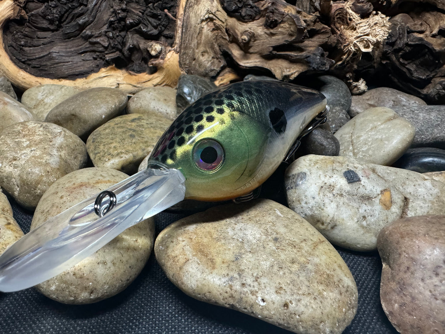 Colossal Deep Diving Crankbait Tennessee Shad