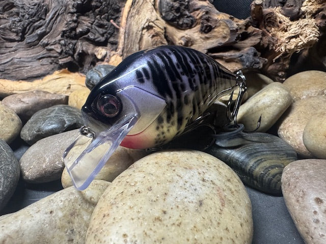 Square Bill 2.0 Scrank Purple Crappie (Light Silver Glitter)