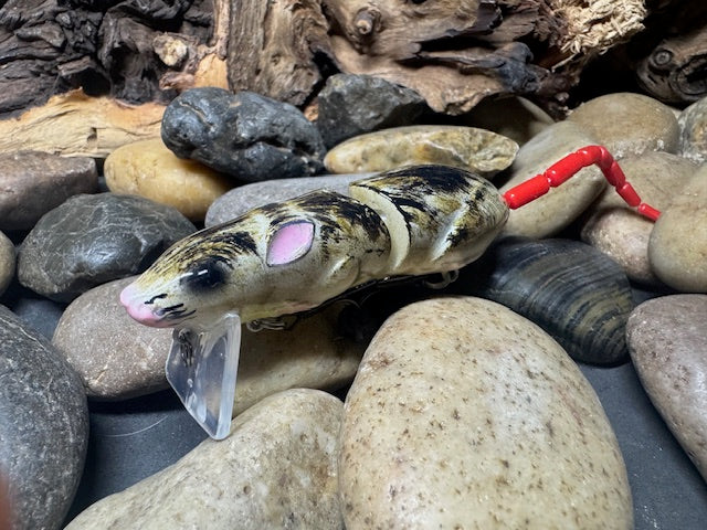 Rat Wake Bait Yellow Belly