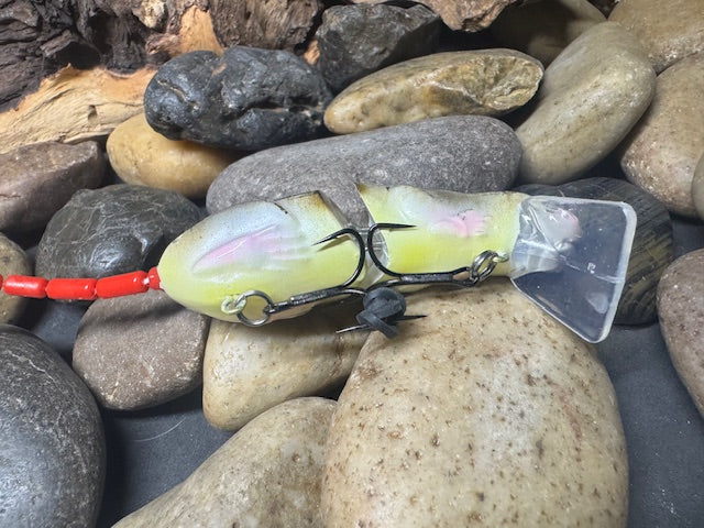 Rat Wake Bait Yellow Belly