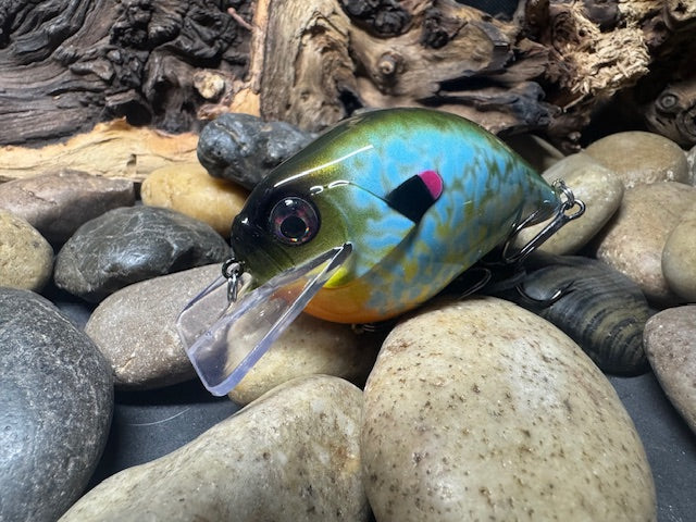 Square Bill 2.0 Scrank Pumpkinseed