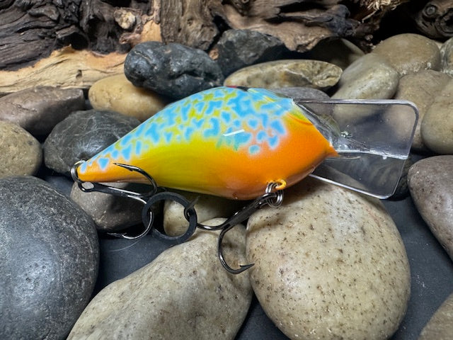 Square Bill 2.0 Scrank Pumpkinseed
