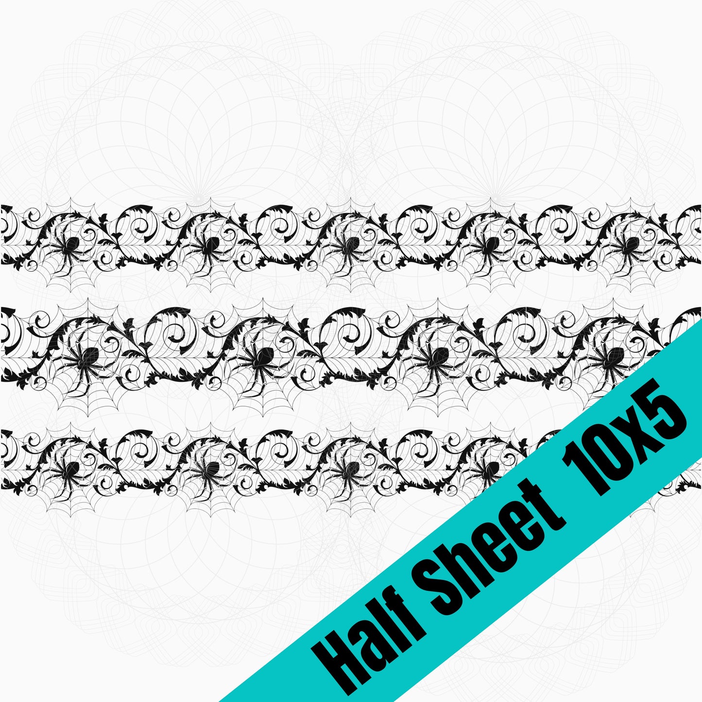 Spiderweb Borders (HS)