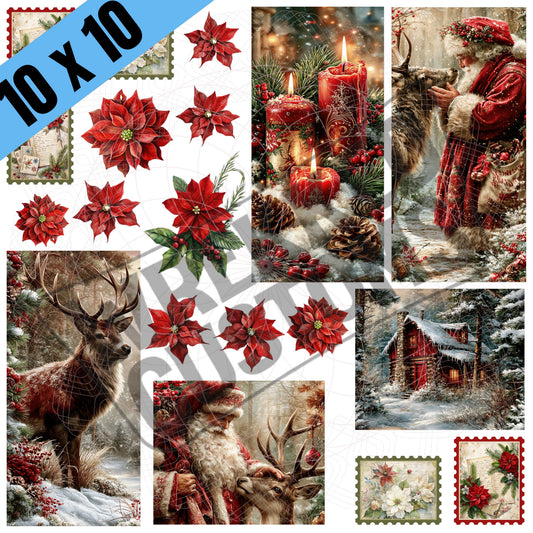 Reindeer, Santa & Poinsettias (BS)