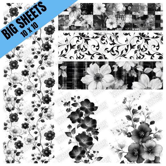 Monochrome (BS)