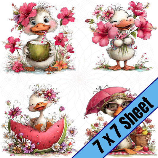 Summertime Ducks (7x7)