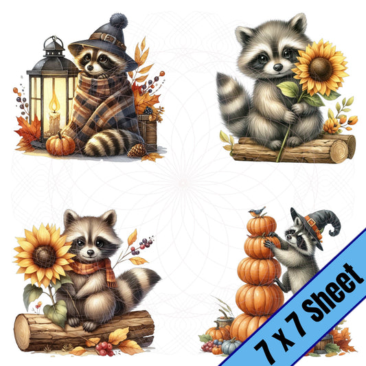 Fall Trash Pandas (7x7)