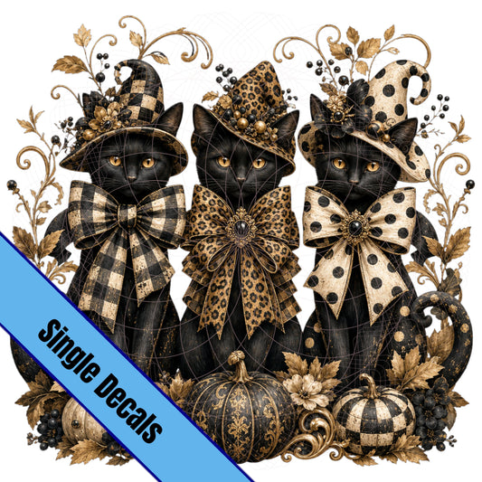 Boujee Black Cats