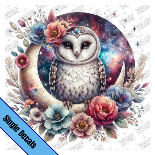 Owl