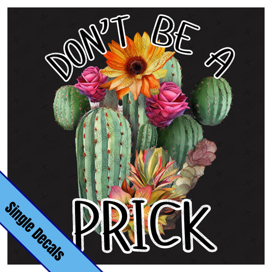 Cactus Dont Be a Prick