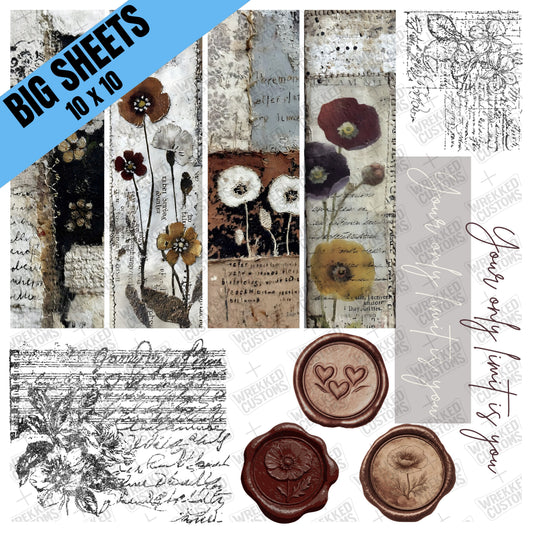 Your Only Limit Is You (BS)
