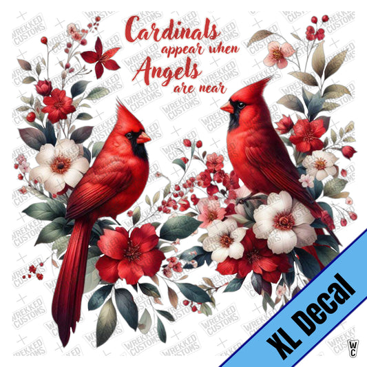 XL Cardinals