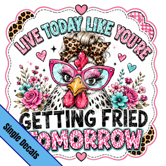 Live today Chicken