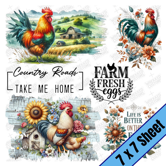 Chicken Farm Fresh Eggs (7x7)