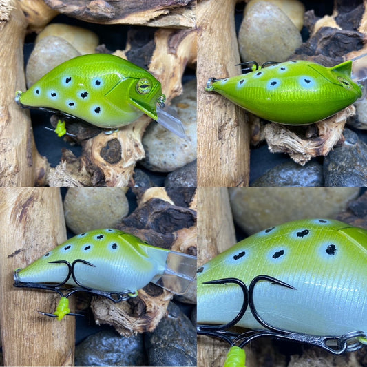 Square Bill S Crank Green Frog