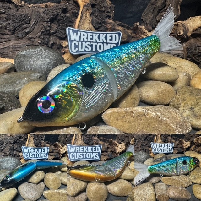 7" Fan Tail Glide Bait Sexy Shad