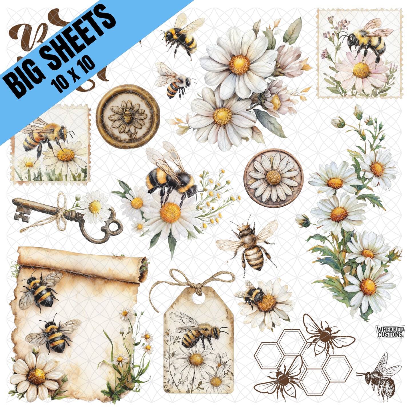 Bees & Daisies (BS)
