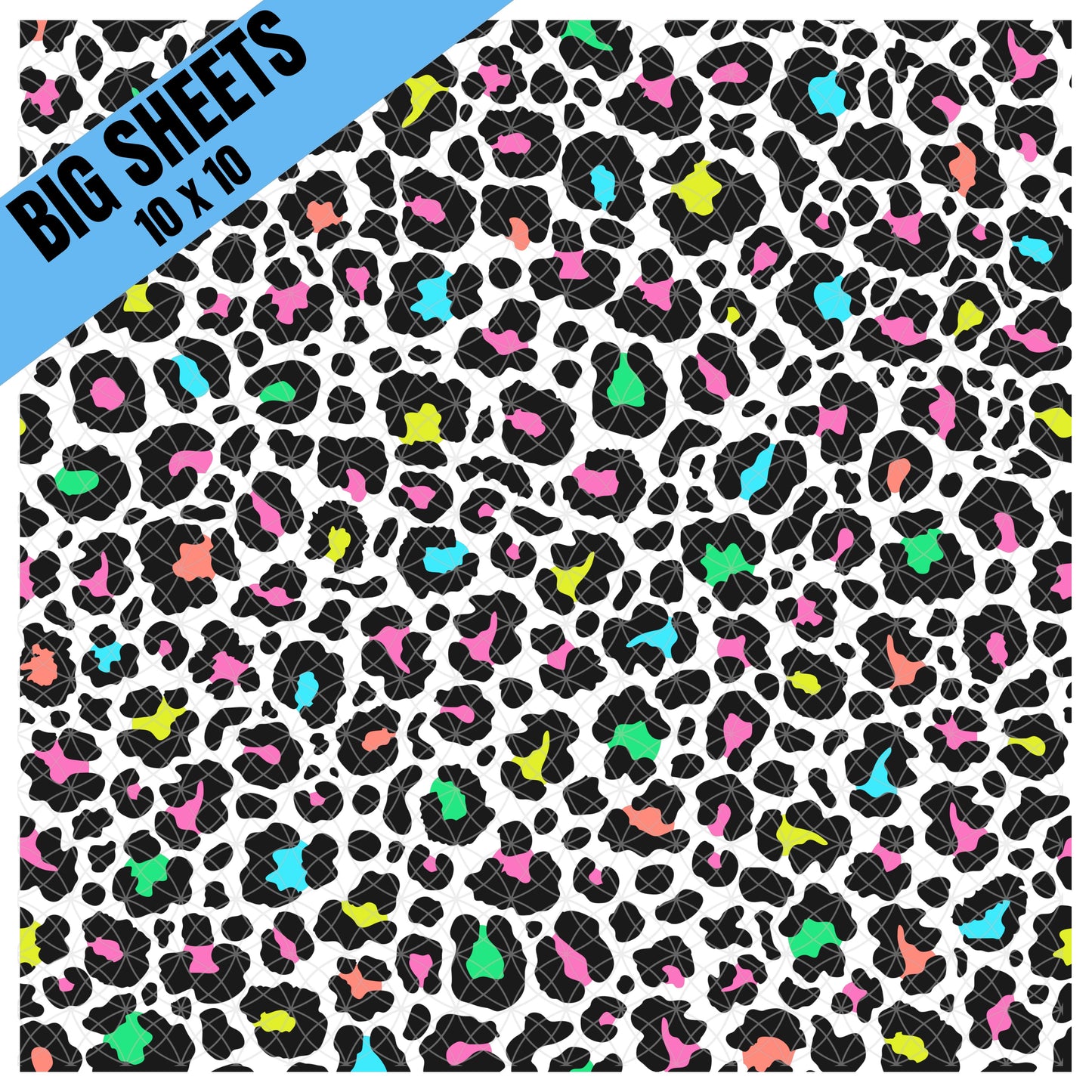 Leopard with Color (BS)