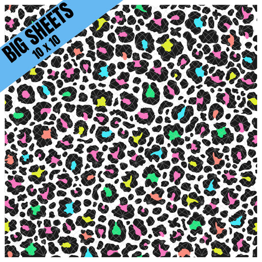 Leopard with Color (BS)